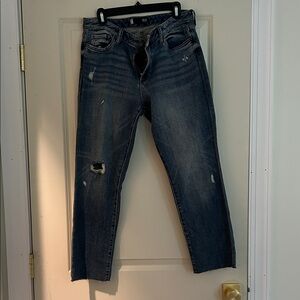Kut from the Kloth Classic Blue Denim